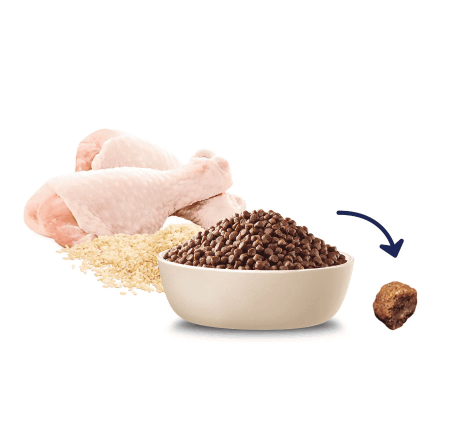 Advance Small Breed Puppy Rehydratable Chicken with Rice