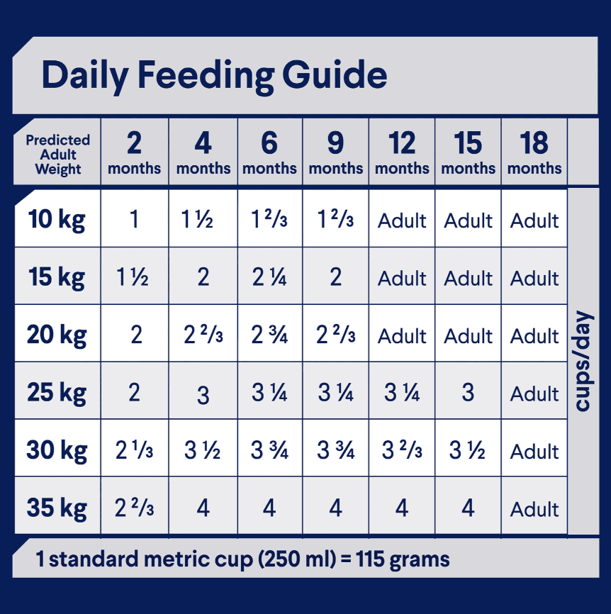 Advance Medium Breed Puppy Food Chicken with Rice