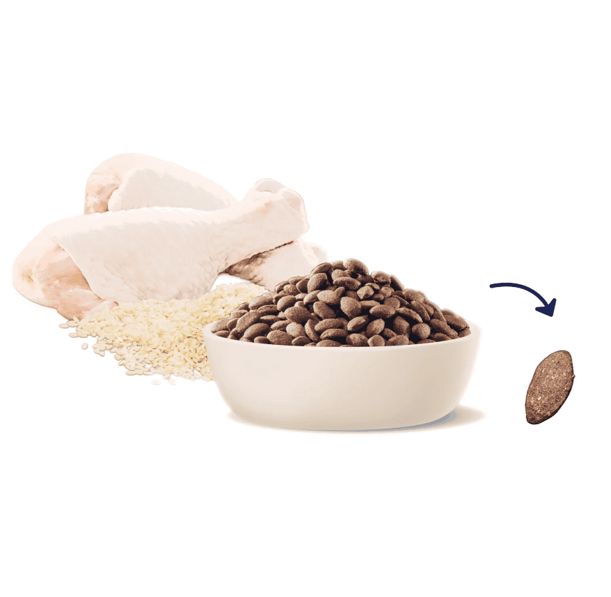 Advance Large Breed Puppy Food Chicken with Rice
