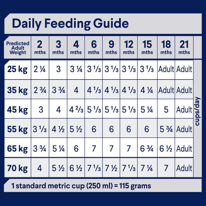 Advance Large Breed Puppy Food Chicken with Rice