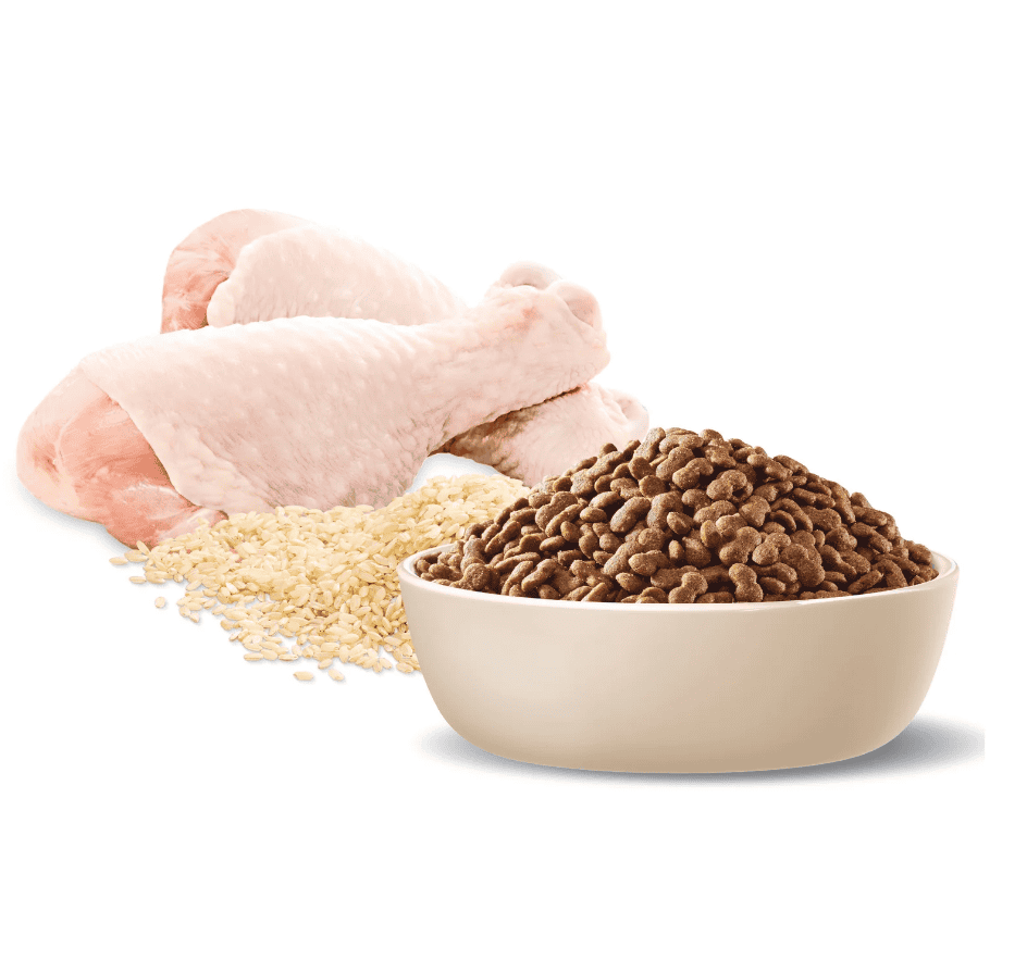 Advance Weight Control Medium Breed Adult Dog Food Chicken