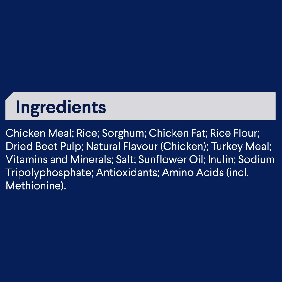 Advance Small Breed Adult Dog Food Chicken with Rice