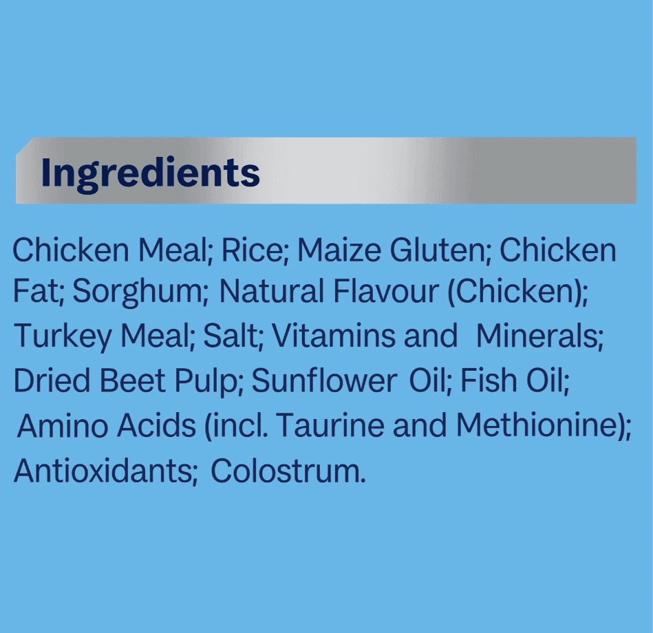 Advance Kitten Dry Food Chicken With Rice