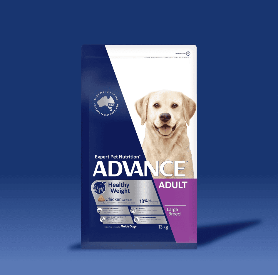 Advance Healthy Weight Large Breed Dog Chicken with Rice 13kg