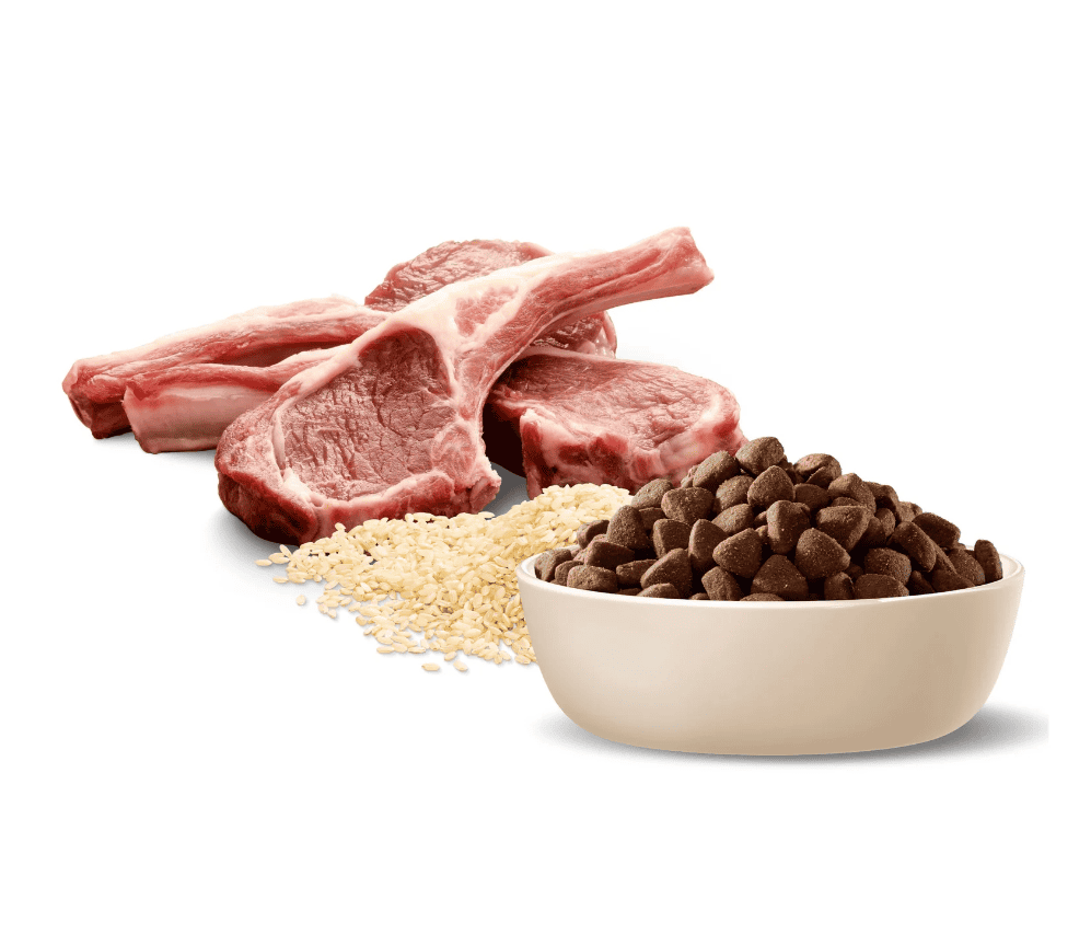 Advance Medium Breed Adult Dog Food Lamb with Rice