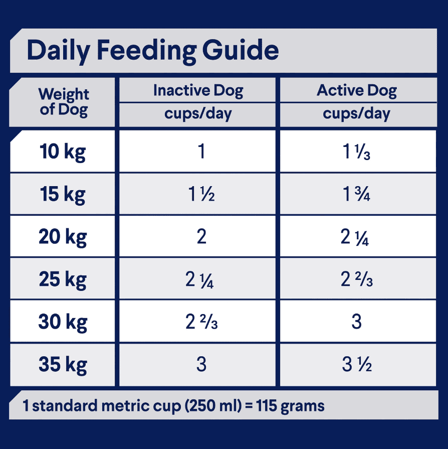 Advance Medium Breed Adult Dog Food Lamb with Rice