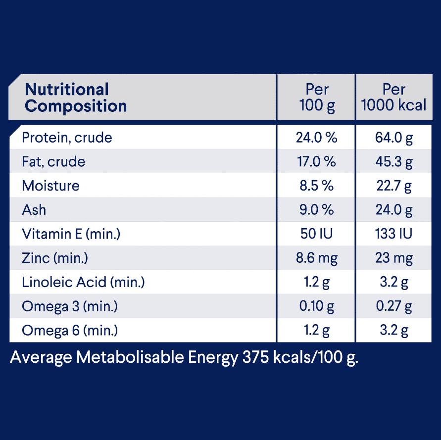 Advance Medium Breed Adult Dog Food Lamb with Rice
