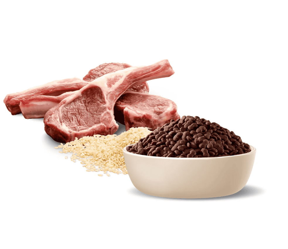 Advance Small Breed Adult Dog Food Lamb with Rice