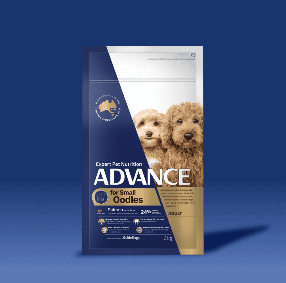 Advance Small Breed Oodles Adult Dog Food Salmon with Rice