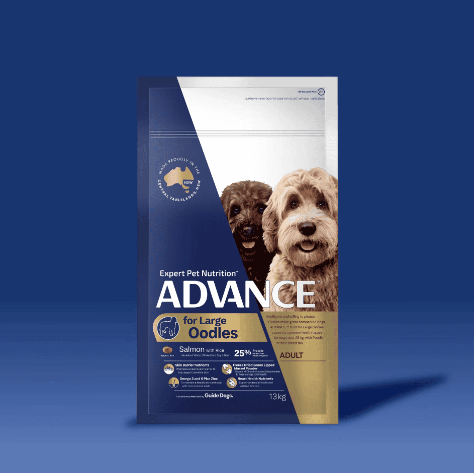 Advance Large Breed Oodles Adult Dog Food Salmon with Rice