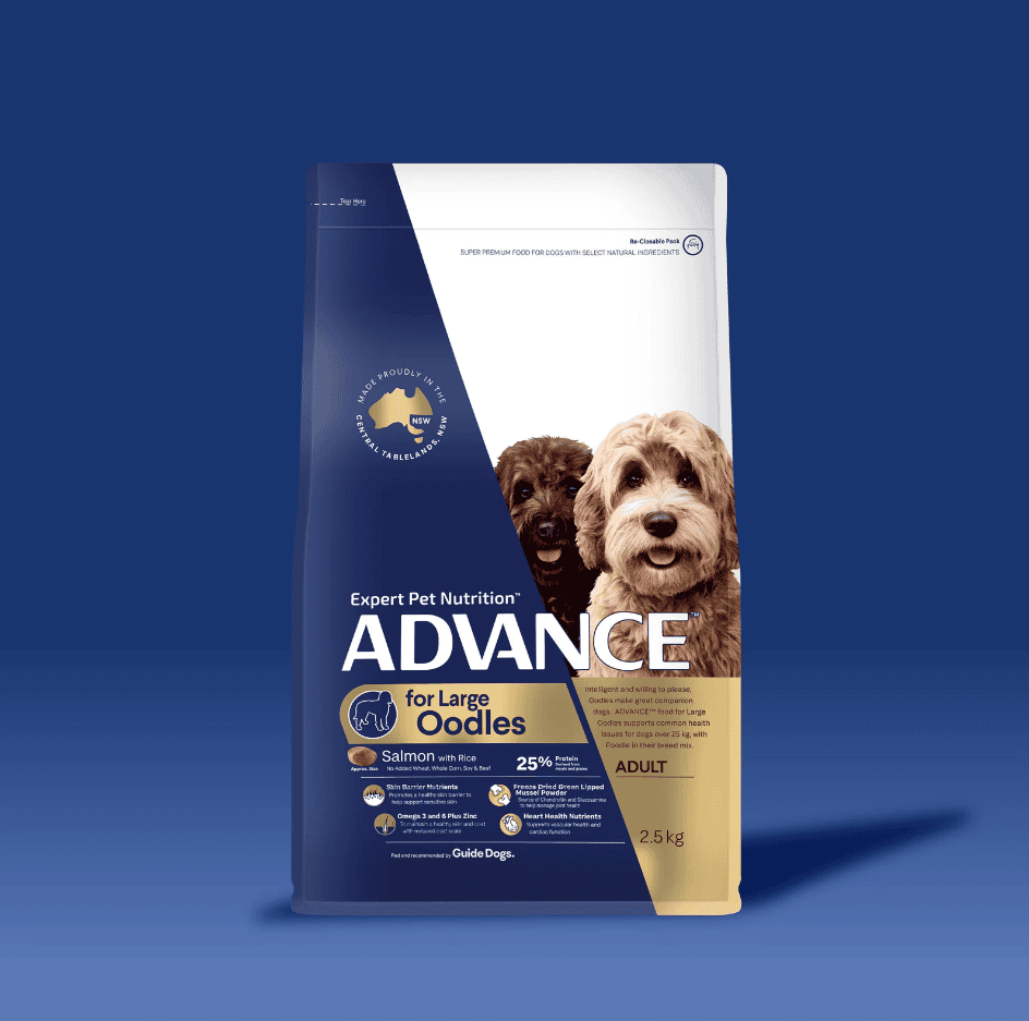 Advance Large Breed Oodles Adult Dog Food Salmon with Rice