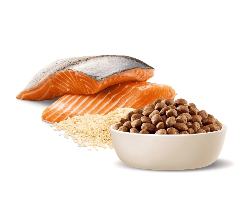 Advance Small Breed Oodles Adult Dog Food Salmon with Rice