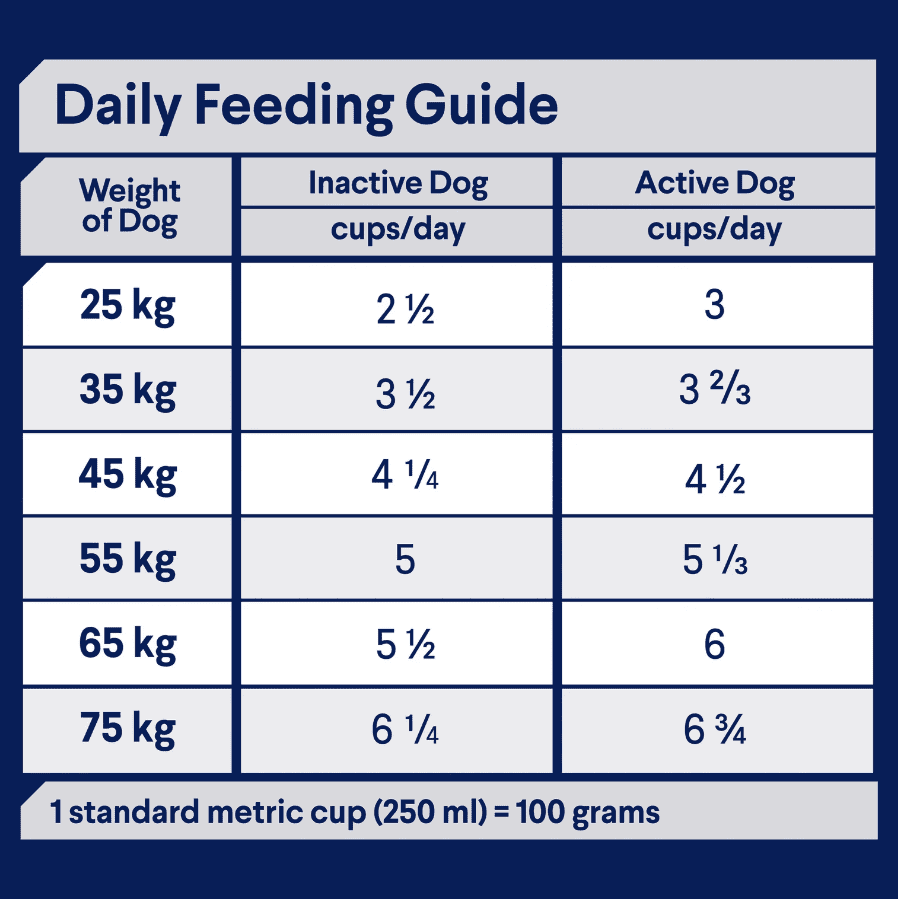 Advance Large Breed Oodles Adult Dog Food Salmon with Rice