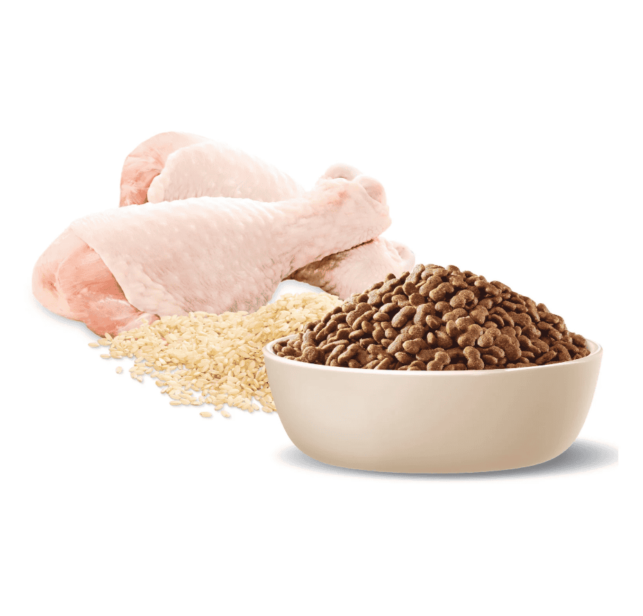 Advance Healthy Weight Small Breed Dog Chicken with Rice 2.5kg