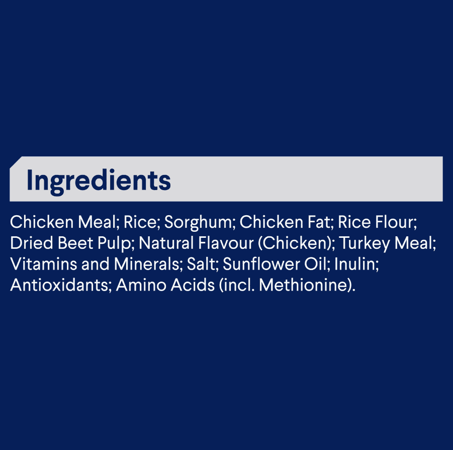 Advance Medium Breed Adult Dog Food Chicken with Rice