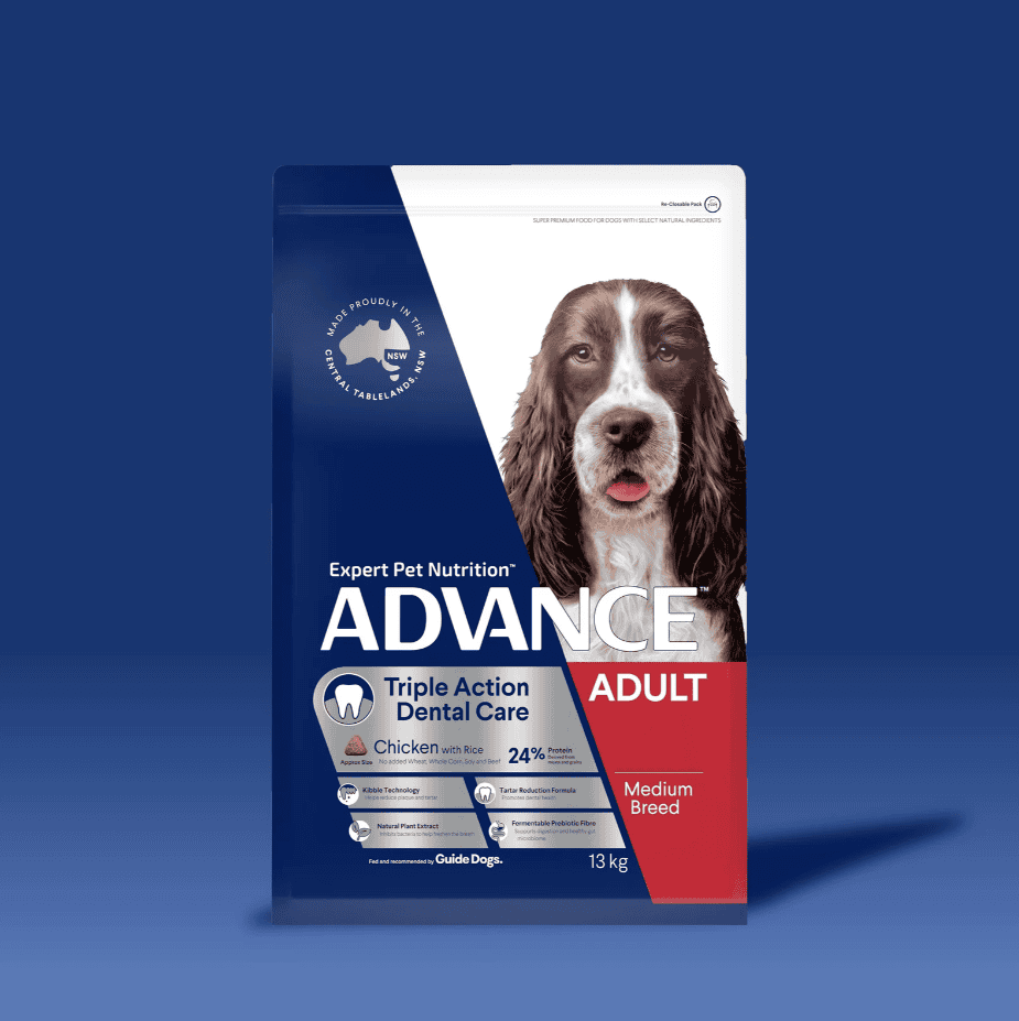 Advance Dental Care Medium Breed Adult Dog Food Chicken 13kg