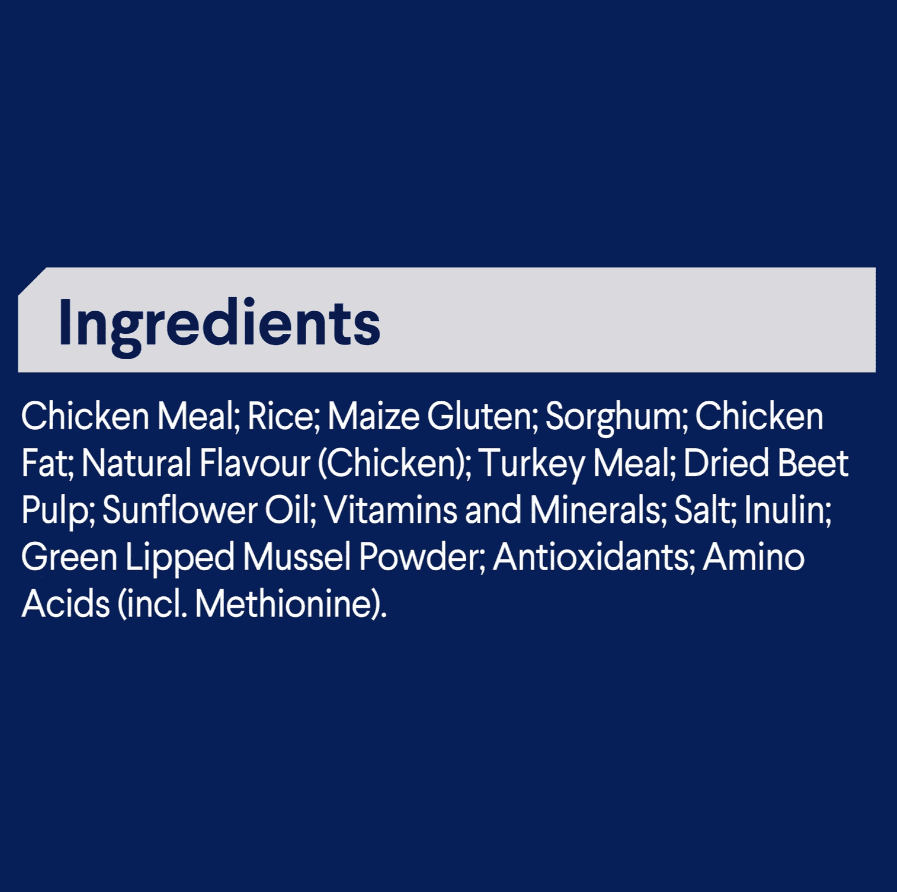 Advance Active All Breed Adult Dog Food Chicken with Rice 13kg