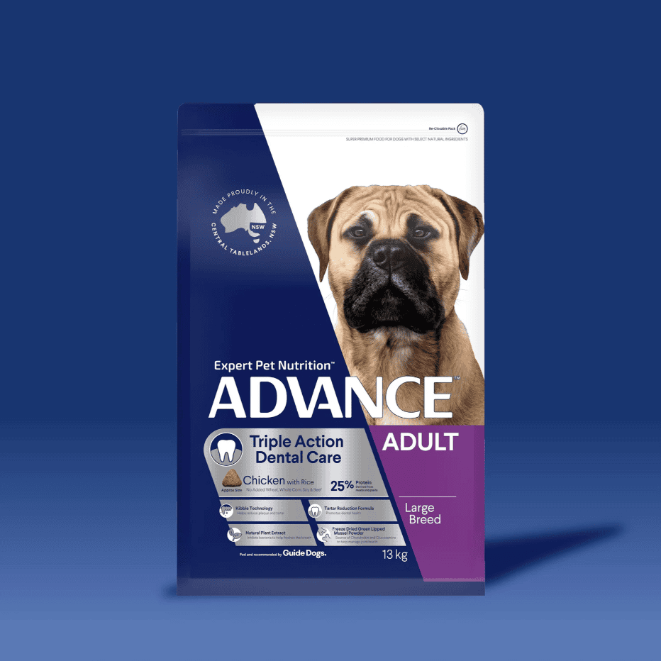 Advance Dental Care Large Breed Adult Dog Food Chicken 13kg