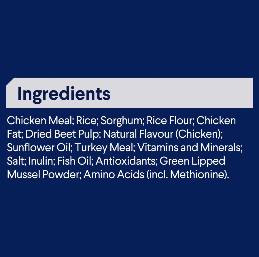 Advance Healthy Ageing Medium Breed Dog Chicken with Rice