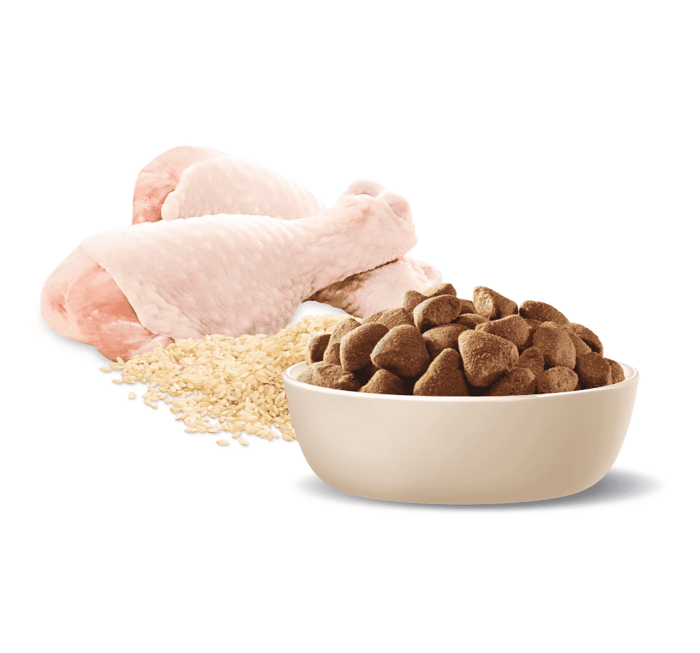 Advance Healthy Ageing Large Breed Dog Chicken with Rice 15kg
