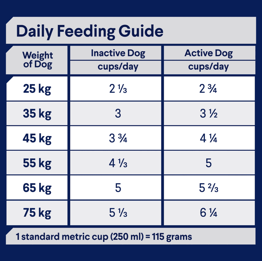 Advance Healthy Ageing Large Breed Dog Chicken with Rice 15kg