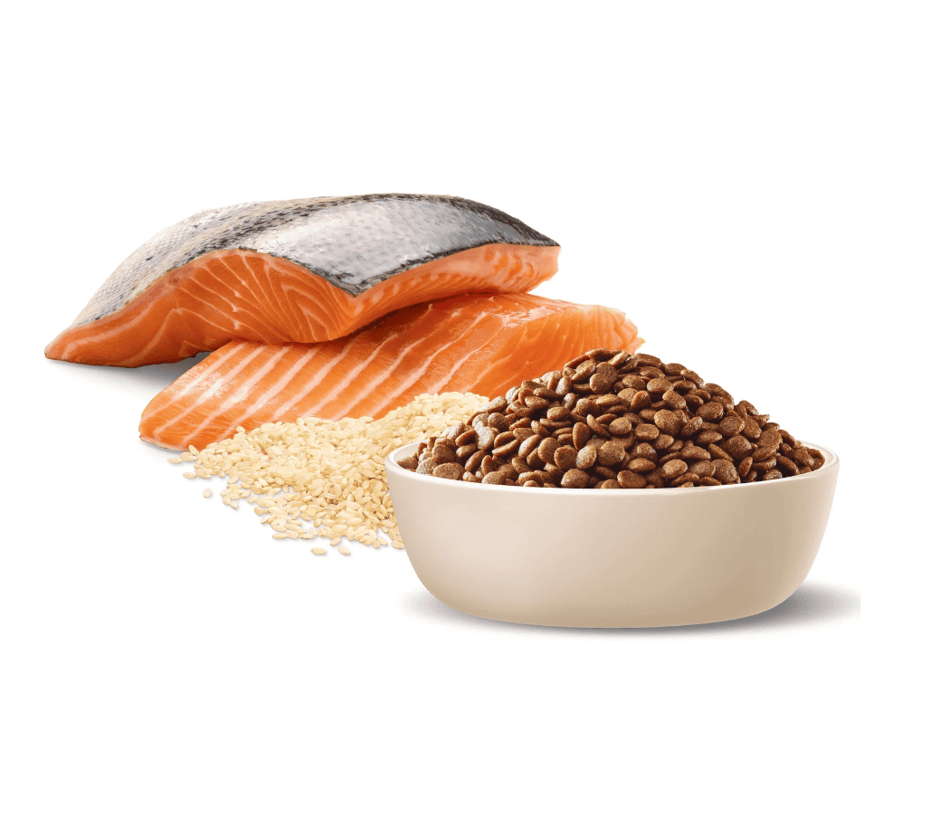 Advance Adult Cat Dry Food Ocean Fish With Rice