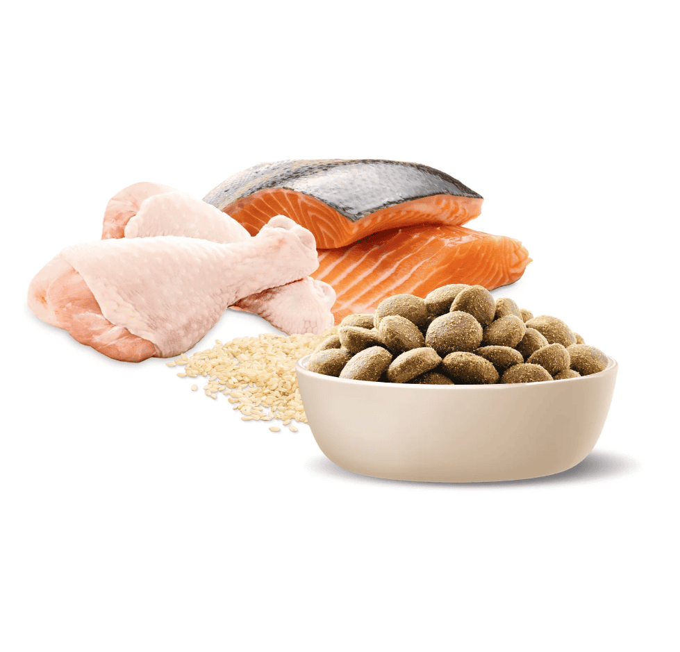 Advance Adult Dog Food for Retrievers Chicken and Salmon 13kg