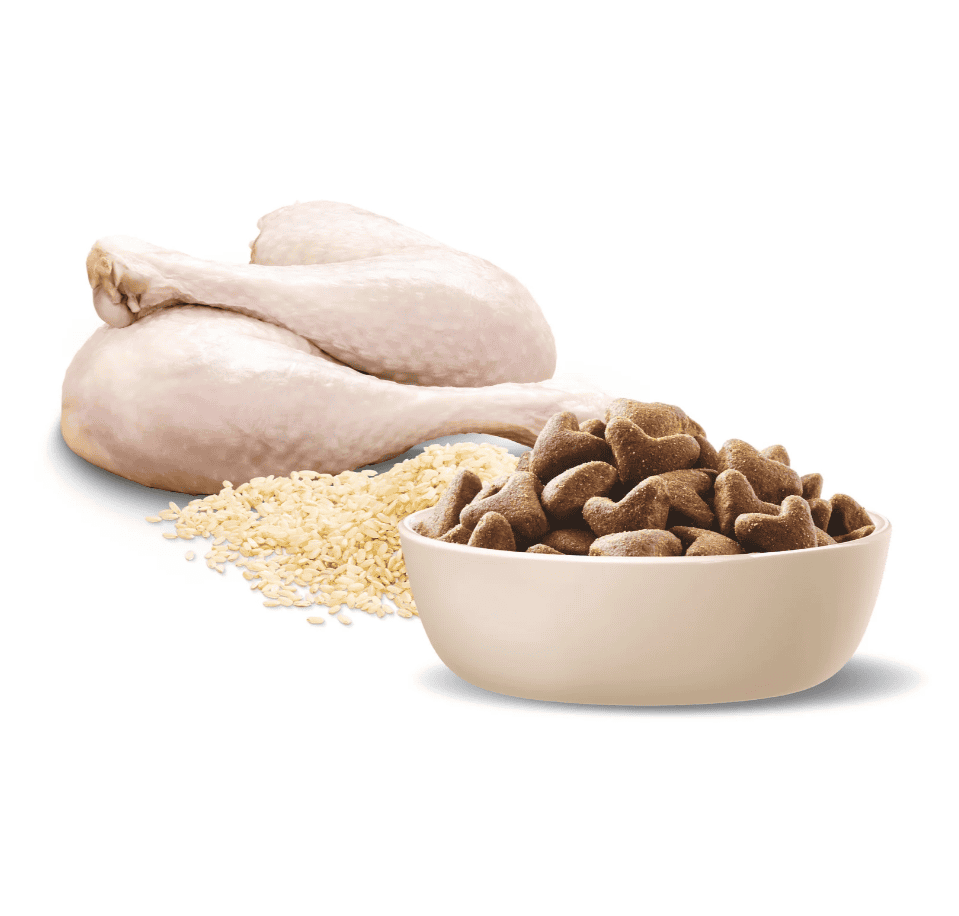 Advance Adult Shepherd Dog Food Turkey with Rice 13kg
