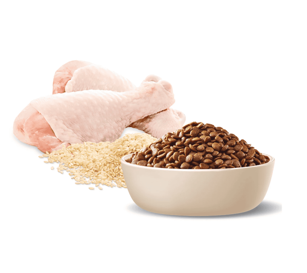 Advance Healthy Ageing Mature Cat Dry Chicken with Rice 3kg