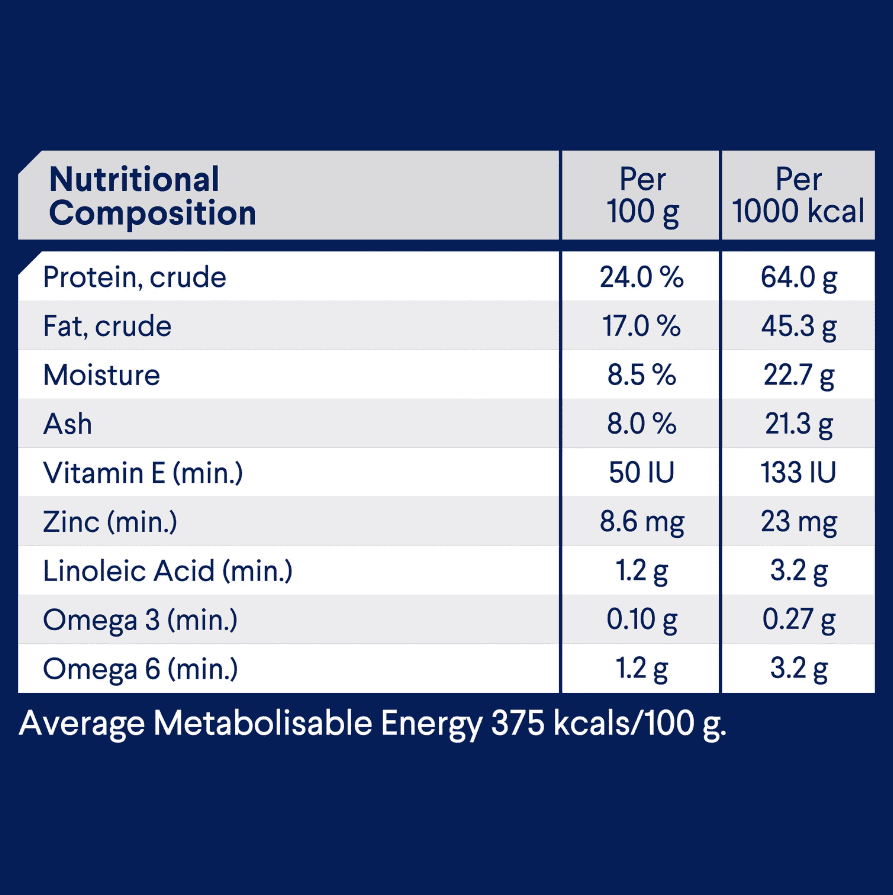 Advance Medium Breed Adult Dog Food Chicken with Rice
