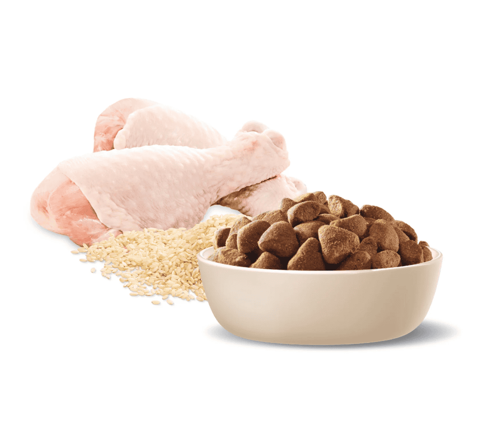 Advance Large Breed Adult Dog Food Chicken with Rice