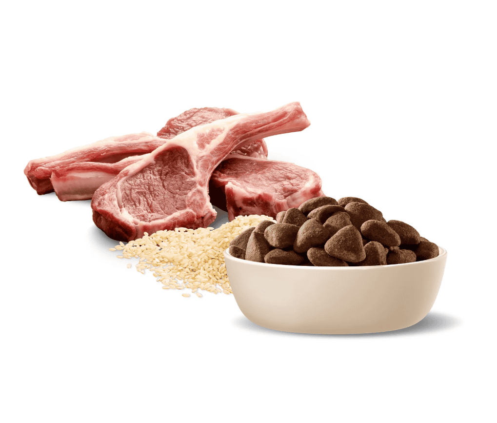 Advance Large Breed Adult Dog Food Lamb with Rice 15kg