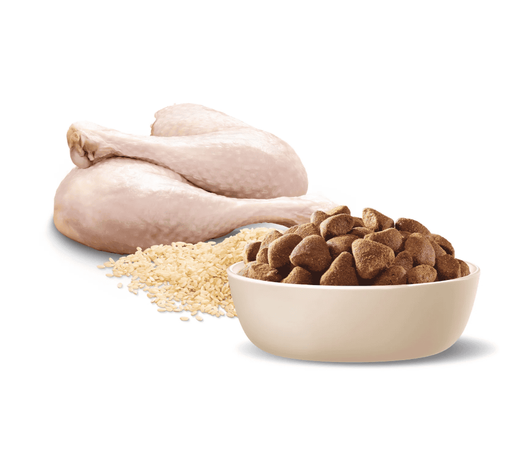 Advance Large Breed Adult Dog Food Turkey with Rice 15kg