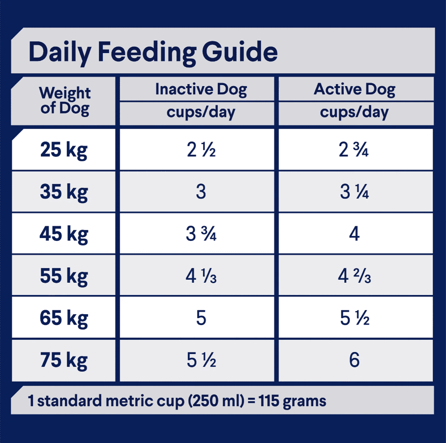 Advance Large Breed Adult Dog Food Lamb with Rice 15kg