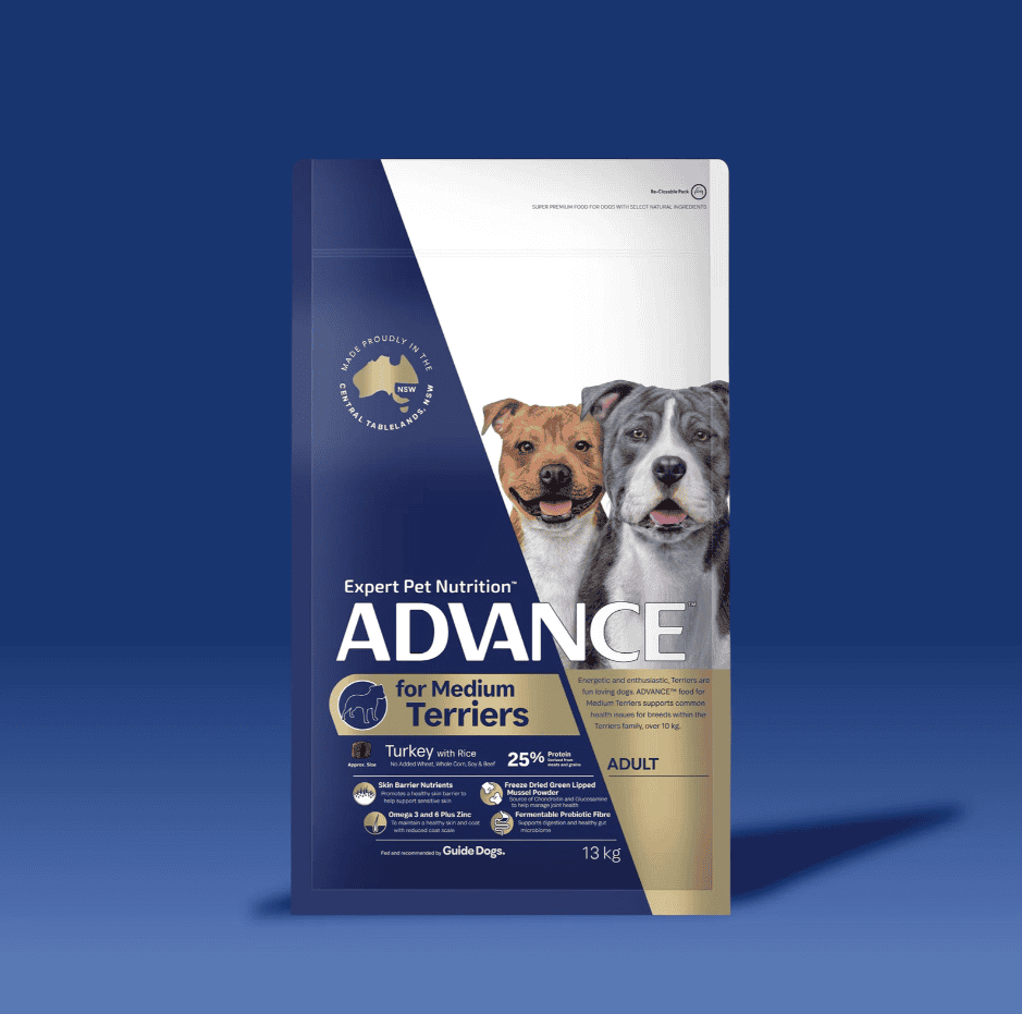Advance Medium Breed Terrier Adult Dog Food Turkey with Rice