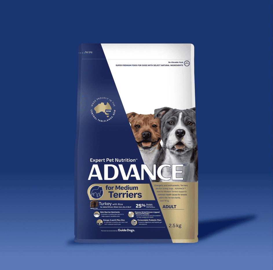 Advance Medium Breed Terrier Adult Dog Food Turkey with Rice