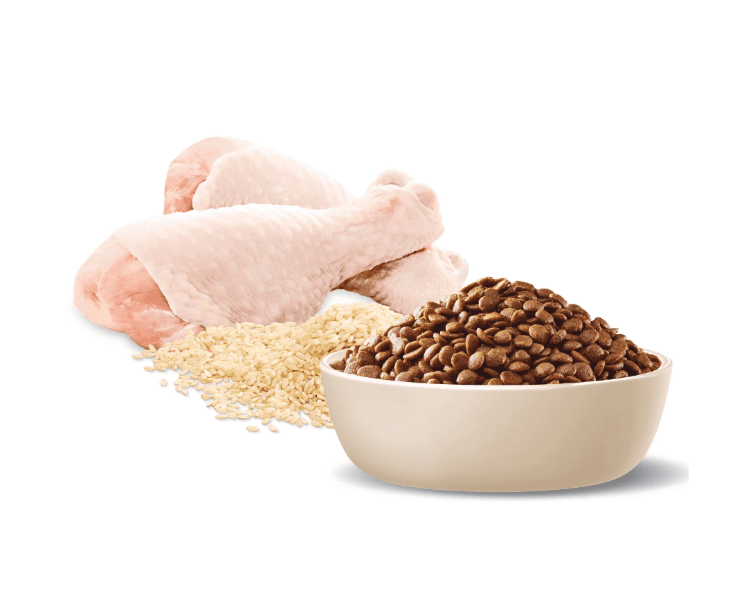 Advance Adult Cat Dry Food Chicken With Rice
