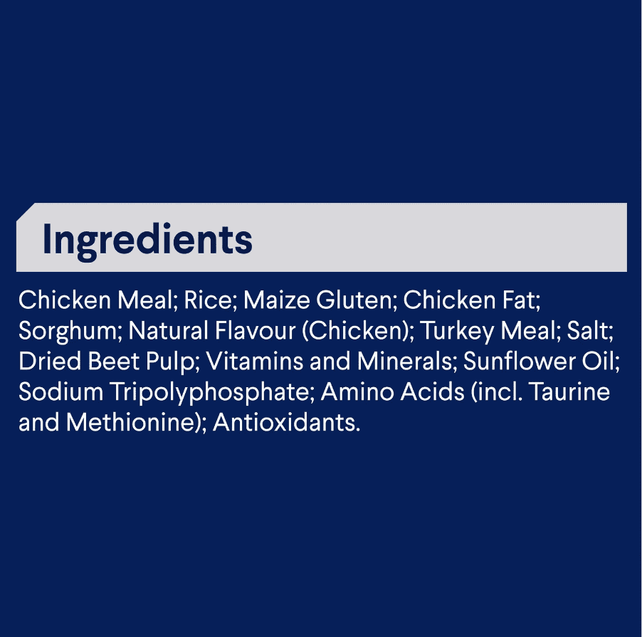 Advance Adult Cat Dry Food Chicken With Rice