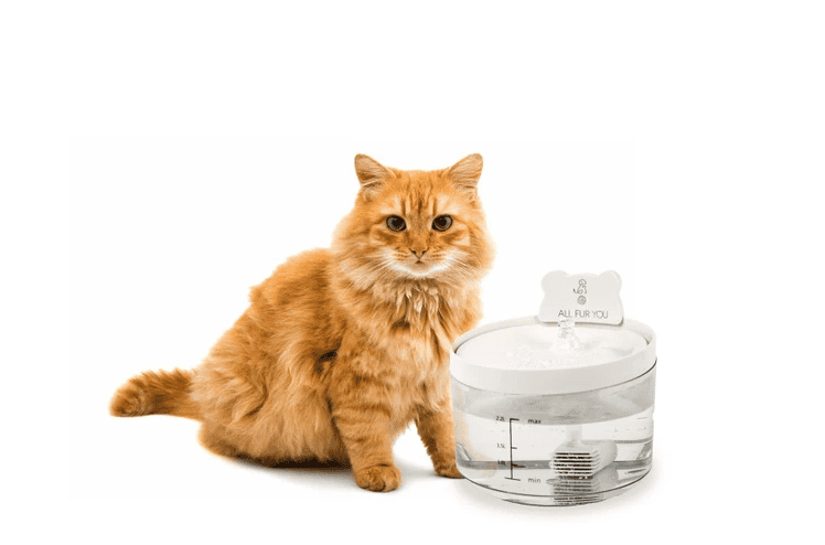 All Fur You Auto Sensor Water Fountain USB Charging