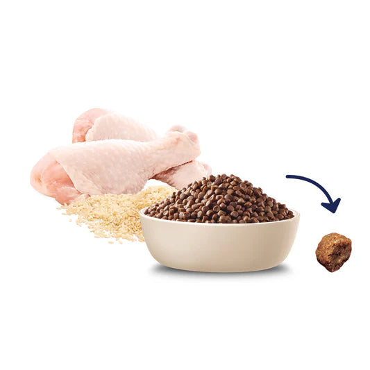 Advance Small Breed Puppy Rehydratable Chicken with Rice