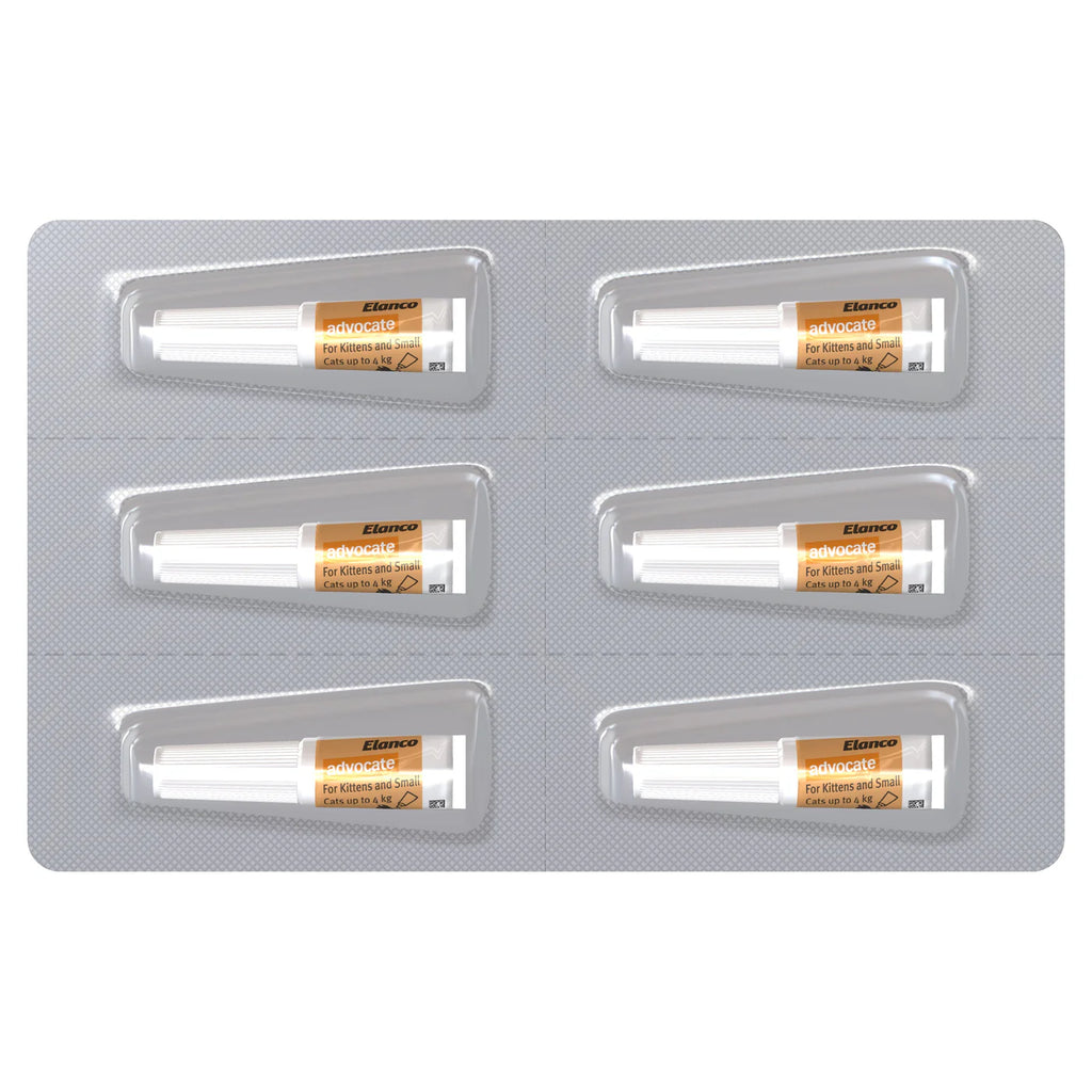 Advocate Cat Small 0-4kg Orange