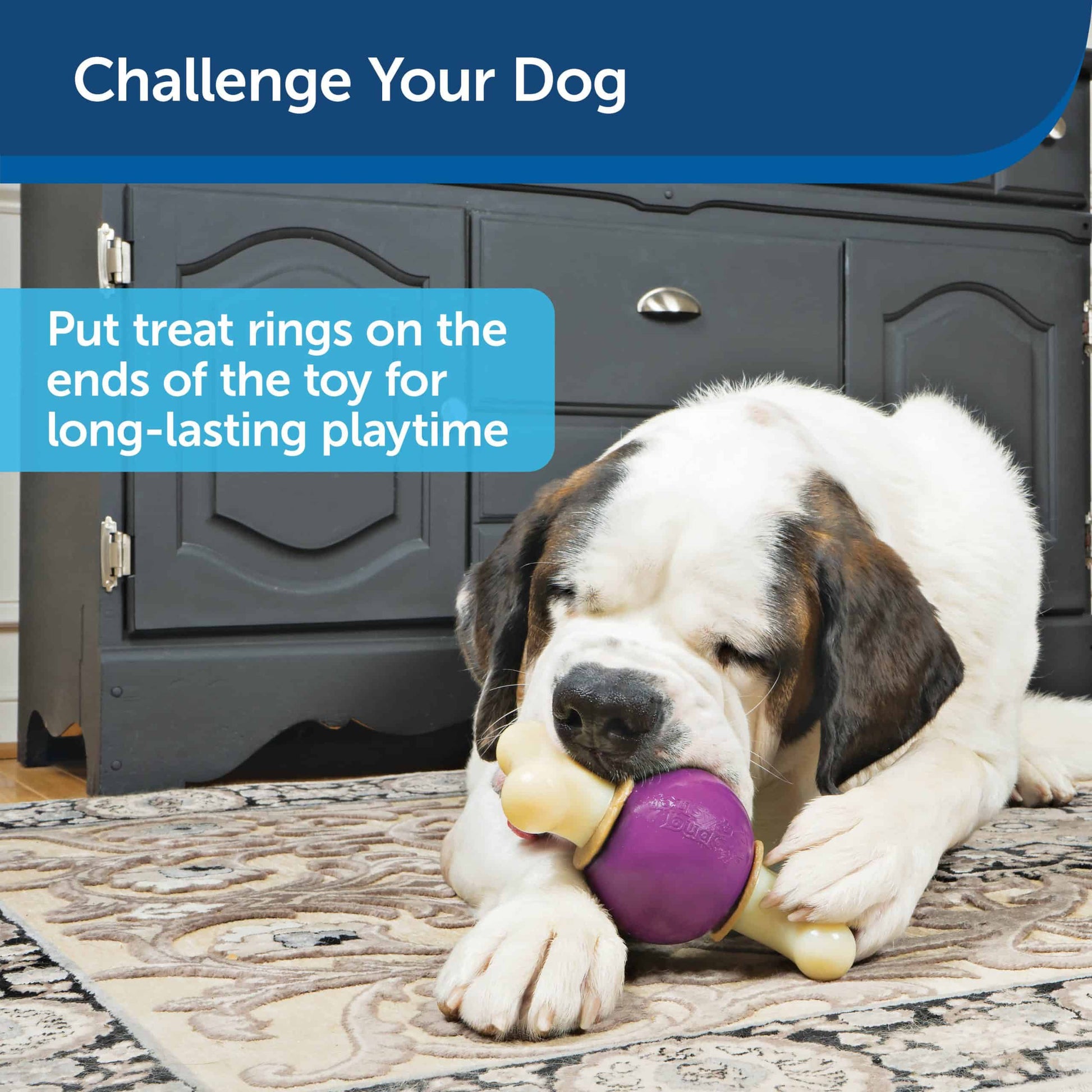 Petsafe Busy Buddy Bouncy Bone Dog Toy