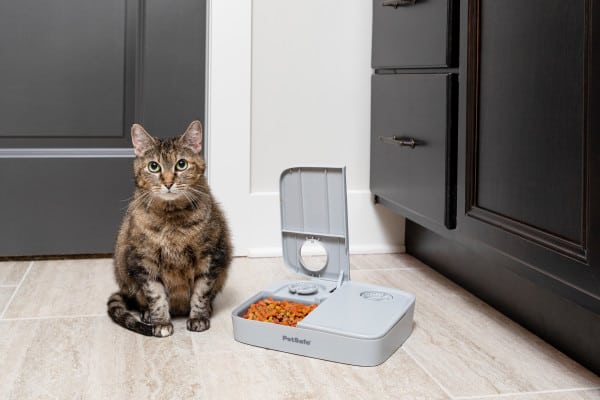 PetSafe Automatic 2 Meal Pet Feeder