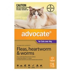 Advocate Cat Large 4kg+ Purple