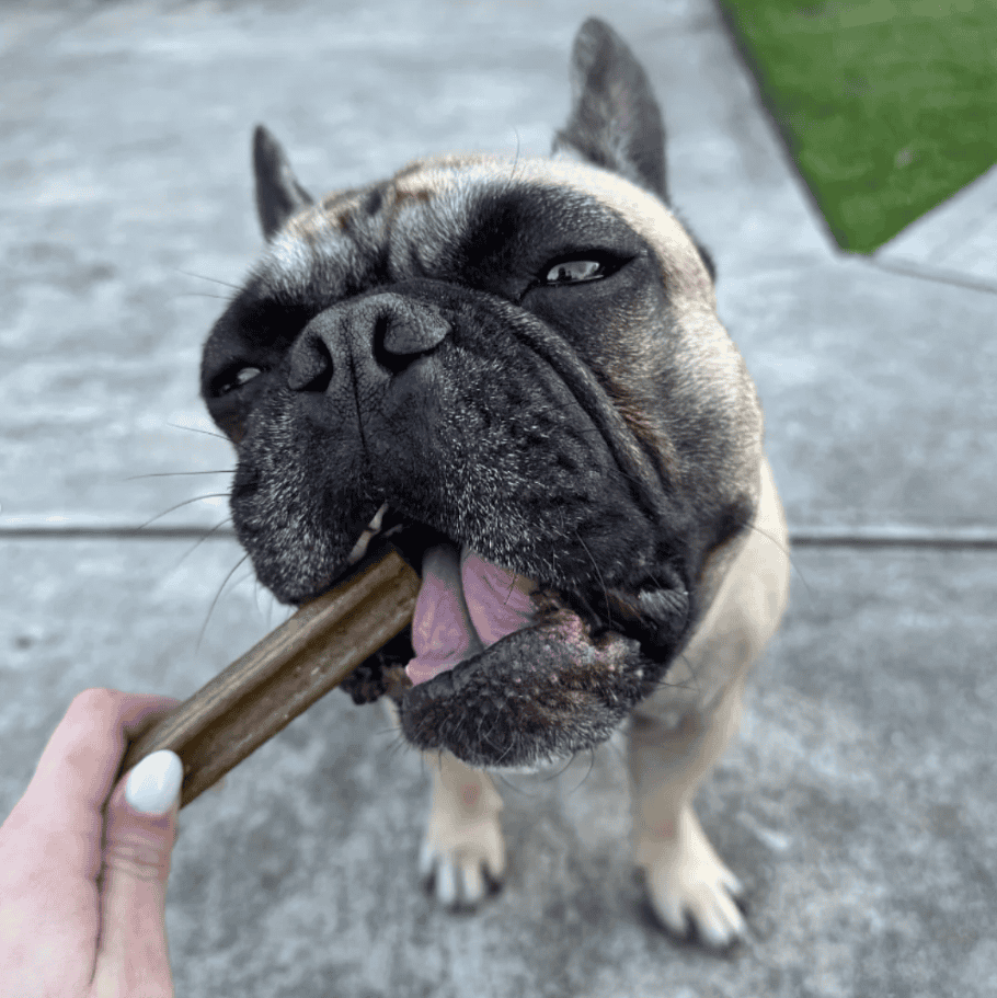 Bell & Bone Pick N Mix Adult Dog Dental Sticks -26g