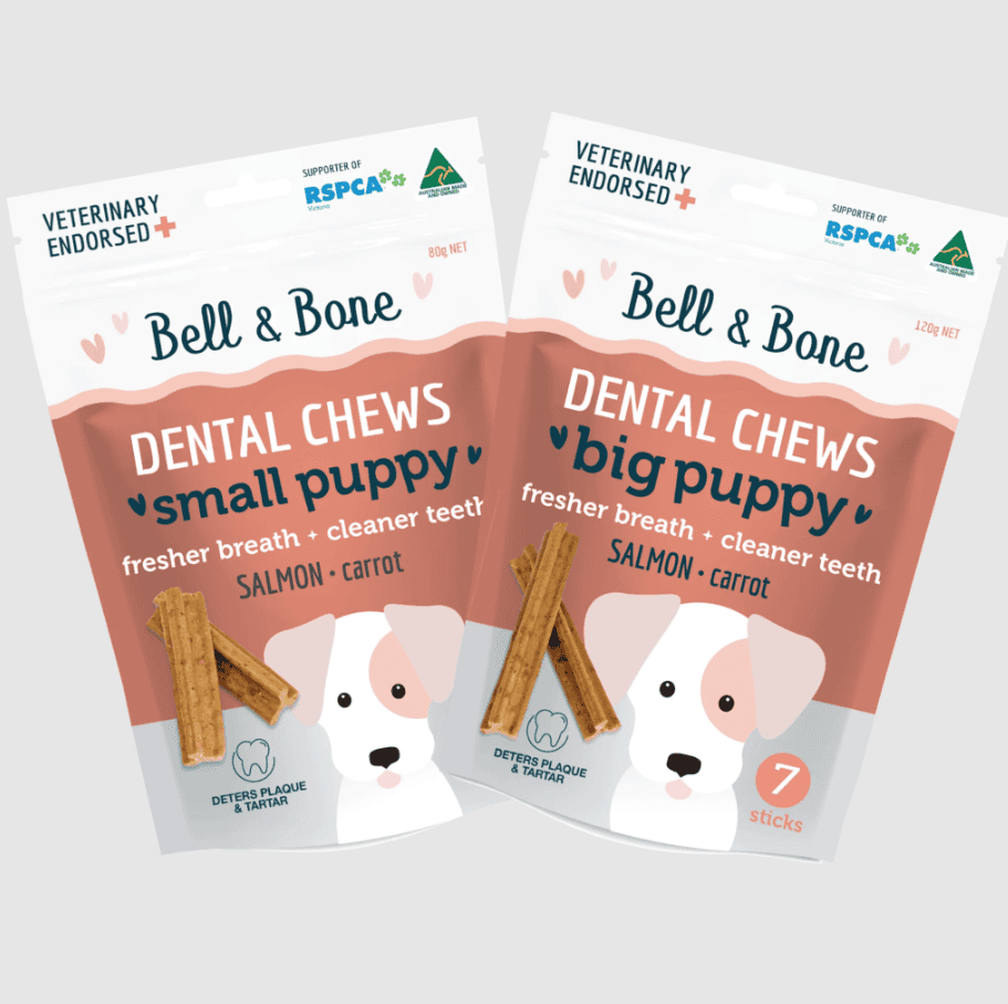 Bell & Bone Puppy Dental Chews - Salmon and Carrot