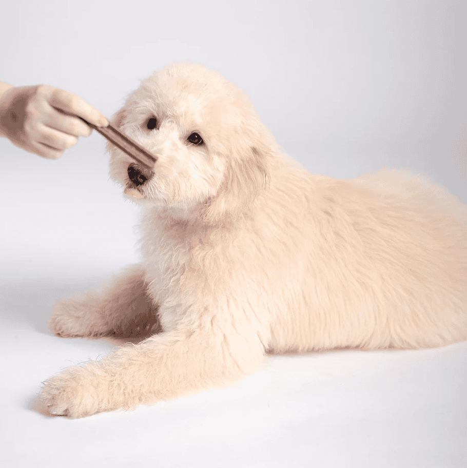 Bell & Bone Puppy Dental Chews - Salmon and Carrot