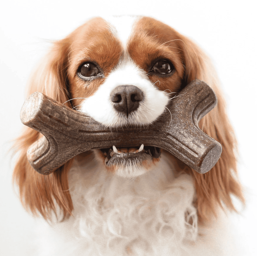 Benebone Bacon Stick Dog Chew Toy