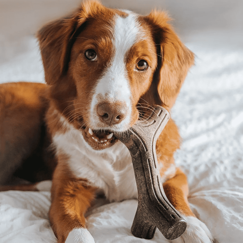 Benebone Bacon Stick Dog Chew Toy