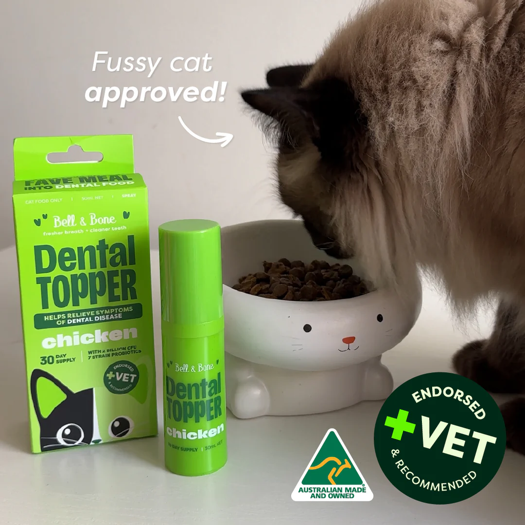 Bell & Bone Cat Dental Topper - Chicken 30ml